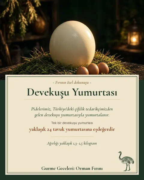 Devekuşu Yumurtası